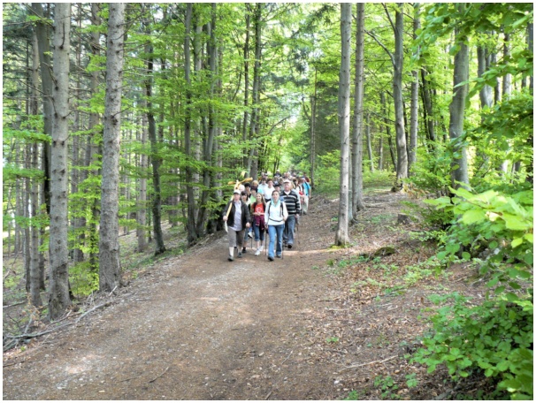 584x433 pixels (189K)